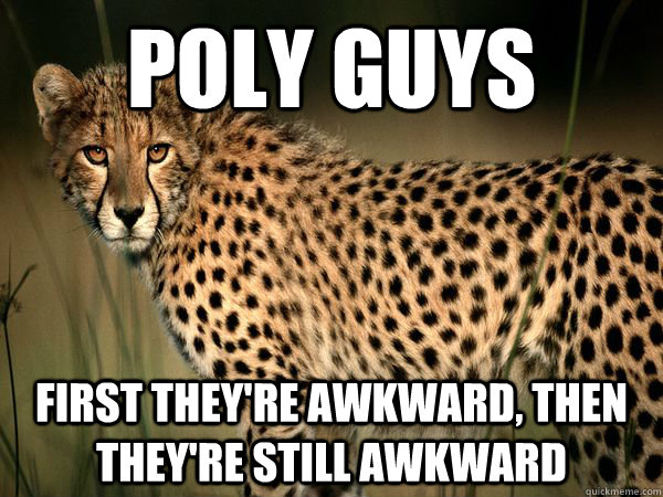 Poly Guys First they're awkward, then they're still awkward - Poly Guys First they're awkward, then they're still awkward  Truth Cheetah