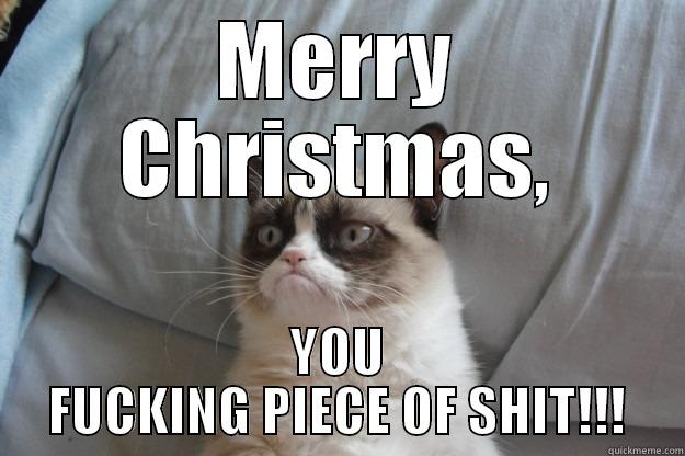 MERRY CHRISTMAS, YOU FUCKING PIECE OF SHIT!!! Grumpy Cat