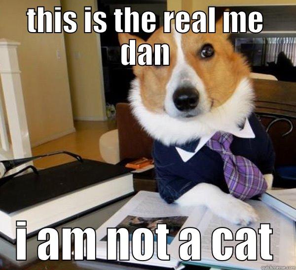 its me - THIS IS THE REAL ME DAN I AM NOT A CAT Lawyer Dog