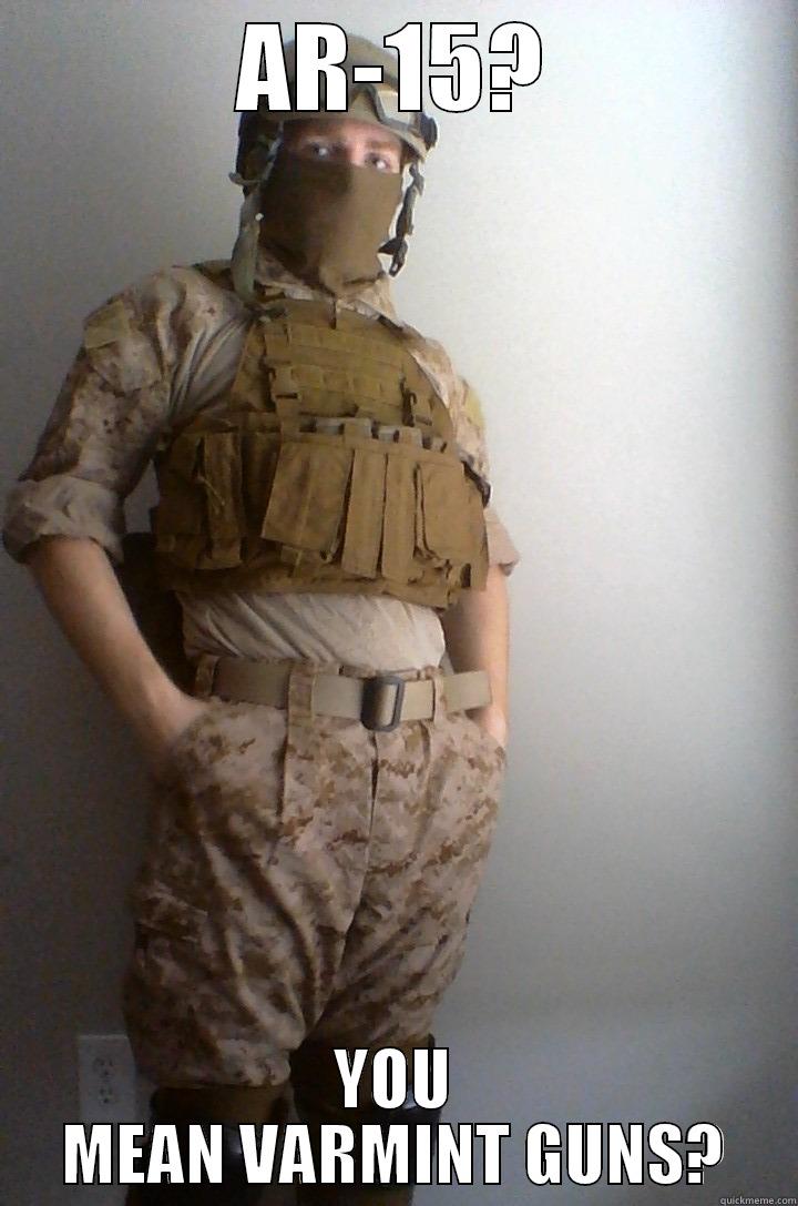 AR-15? YOU MEAN VARMINT GUNS? Misc