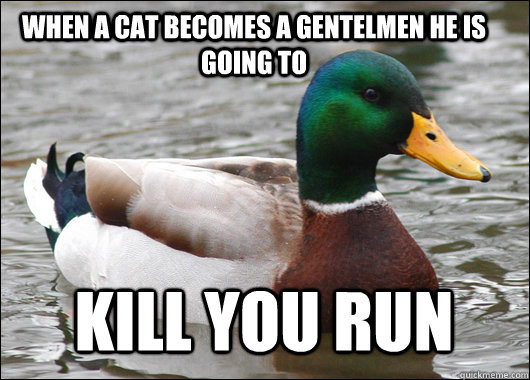 When a cat becomes a gentelmen he is going to  kill you run   Actual Advice Mallard