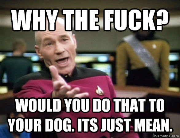 WHY THE FUCK? WOULD YOU DO THAT TO YOUR DOG. ITS JUST MEAN.  Annoyed Picard HD
