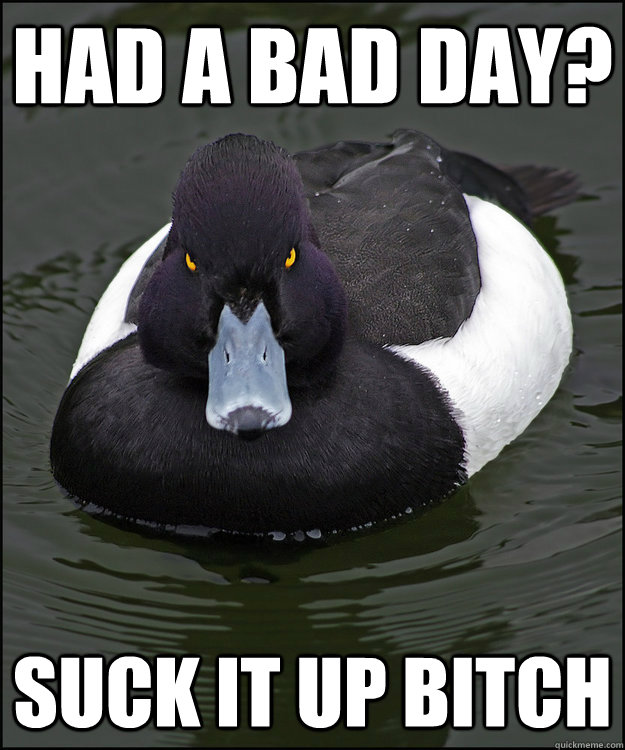 had a bad day? suck it up bitch - had a bad day? suck it up bitch  Angry Advice Duck