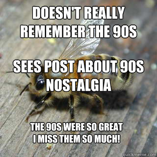Doesn't Really Remember the 90s Sees Post about 90s nostalgia The 90s were so great i miss them so much!  Hivemind bee