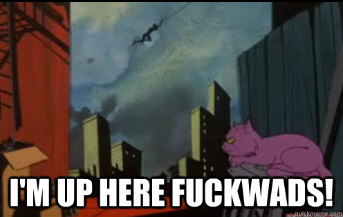  I'm up here fuckwads! -  I'm up here fuckwads!  Misc