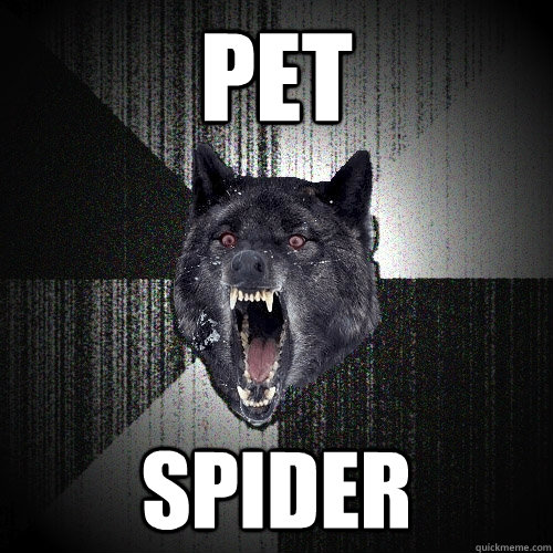 PET Spider  Insanity Wolf