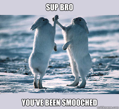SUP BRO You've been SMOOCHED  Bunny Bros