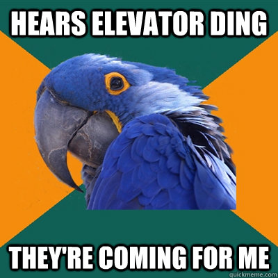 hears elevator ding they're coming for me  Paranoid Parrot
