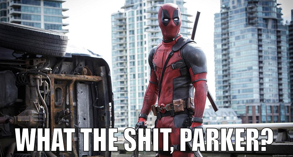  WHAT THE SHIT, PARKER? Misc