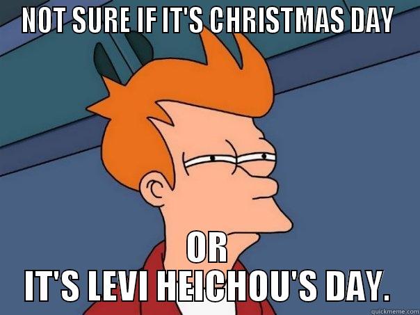 NOT SURE IF IT'S CHRISTMAS DAY OR IT'S LEVI HEICHOU'S DAY. Futurama Fry