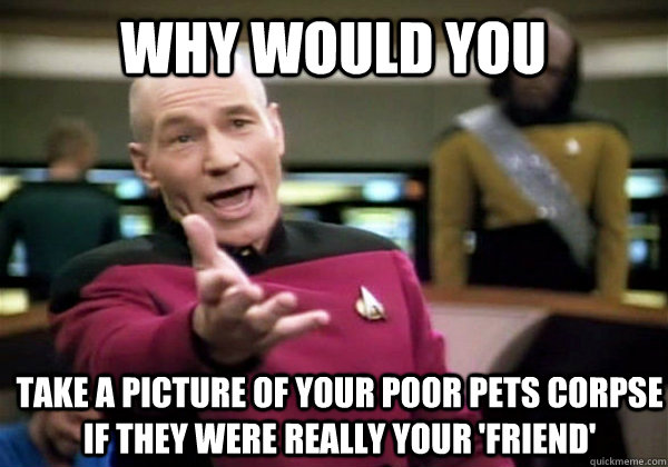 Why would you take a picture of your poor pets corpse if they were really your 'friend'  Patrick Stewart WTF