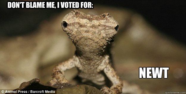 Don't blame me, I voted for: NEWT
 - Don't blame me, I voted for: NEWT
  Misc