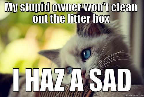 MY STUPID OWNER WON'T CLEAN OUT THE LITTER BOX  I HAZ A SAD First World Problems Cat