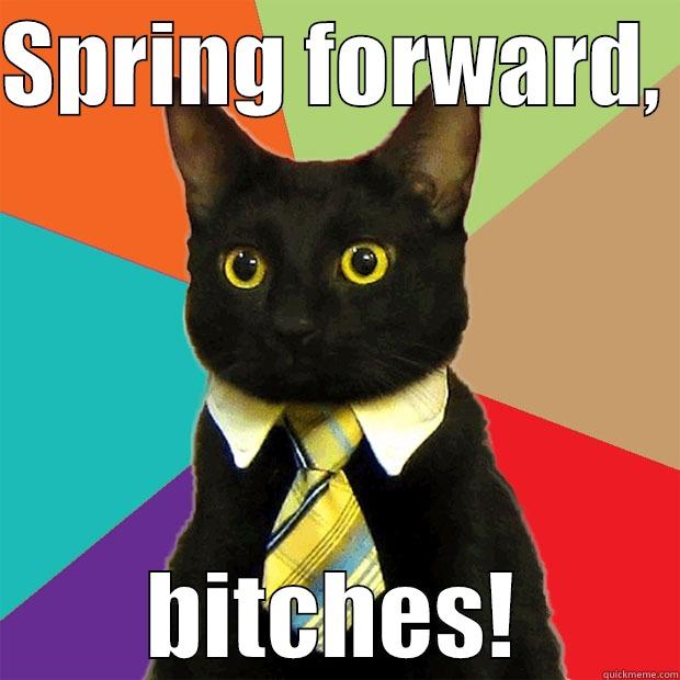 Time changes - SPRING FORWARD,  BITCHES! Business Cat