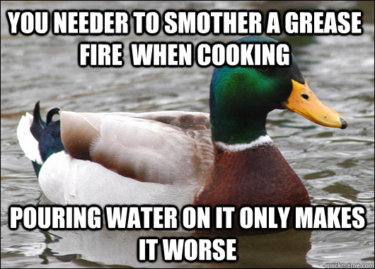 you needer to smother a grease fire  when cooking pouring water on it only makes it worse  Actual Advice Mallard
