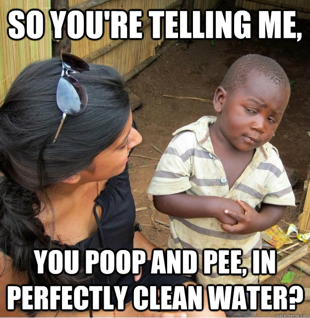 So you're telling me, you poop and pee, in perfectly clean water? - So you're telling me, you poop and pee, in perfectly clean water?  Skeptical Third World Kid