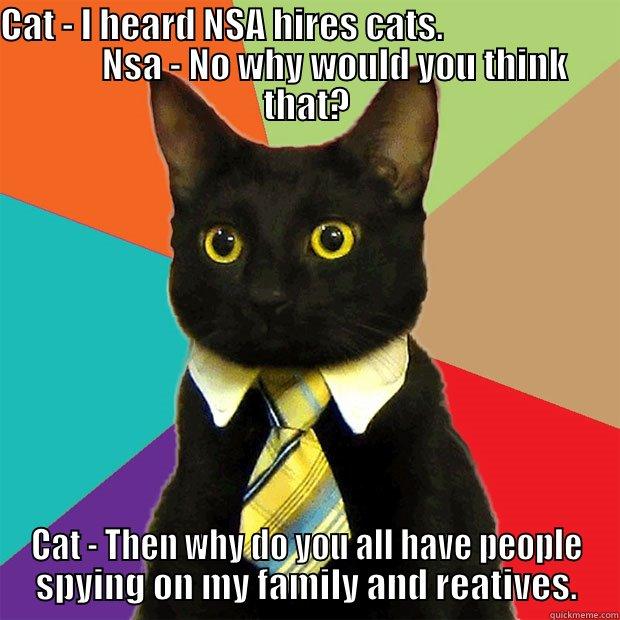 CAT - I HEARD NSA HIRES CATS.                                 NSA - NO WHY WOULD YOU THINK THAT? CAT - THEN WHY DO YOU ALL HAVE PEOPLE SPYING ON MY FAMILY AND REATIVES. Business Cat