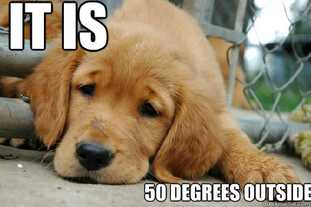 IT IS 50 DEGREES OUTSIDE - IT IS 50 DEGREES OUTSIDE  Sad Face