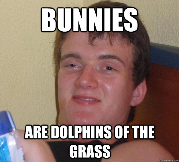 Bunnies Are dolphins of the grass  10 Guy