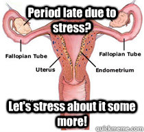Period late due to stress? Let's stress about it some more! - Period late due to stress? Let's stress about it some more!  Misc
