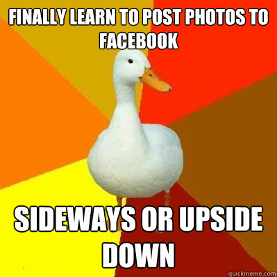 finally learn to post photos to facebook  sideways or upside down  Tech Impaired Duck