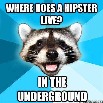 Where does a hipster live?  in the underground  Lame Pun Raccoon