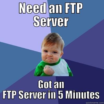 NEED AN FTP SERVER GOT AN FTP SERVER IN 5 MINUTES Success Kid