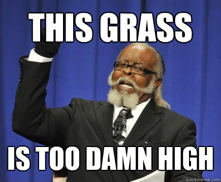 This Grass is too damn high  Too Damn High