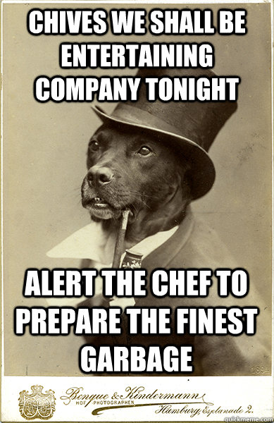 chives we shall be entertaining company tonight alert the chef to prepare the finest garbage  Old Money Dog