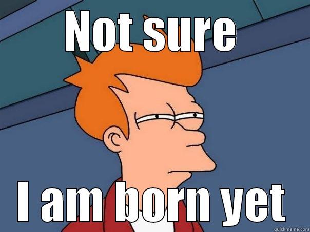 NOT SURE I AM BORN YET Futurama Fry