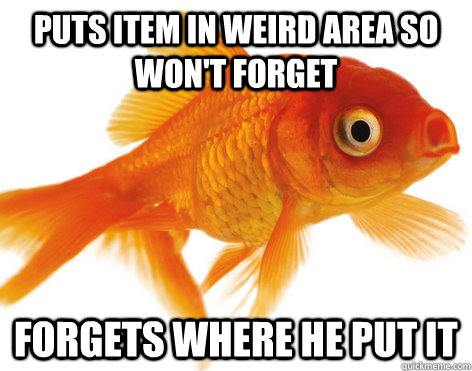 Puts item in weird area so won't forget forgets where he put it  Forgetful Fish