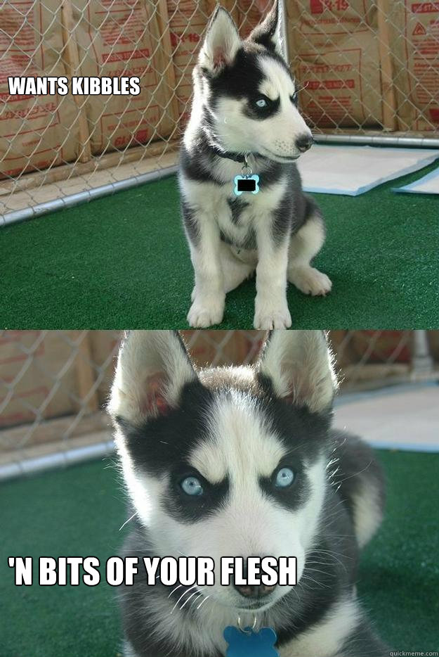 WANTS KIBBLES 'N BITS OF YOUR FLESH  Insanity puppy