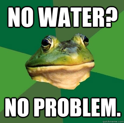 No water? No Problem.  Foul Bachelor Frog