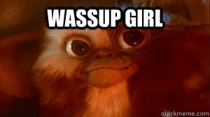 wassup girl   Gizmo