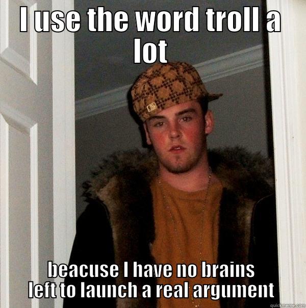 I USE THE WORD TROLL A LOT BEACUSE I HAVE NO BRAINS LEFT TO LAUNCH A REAL ARGUMENT Scumbag Steve