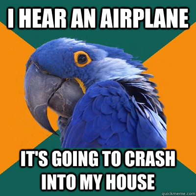 I hear an airplane It's going to crash into my house  Paranoid Parrot