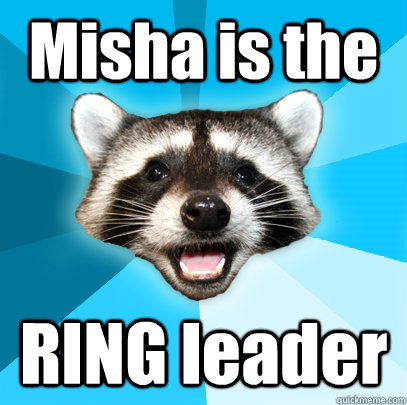 Misha is the RING leader  Lame Pun Coon