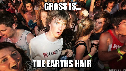 Grass is...
 the Earths Hair  Sudden Clarity Clarence
