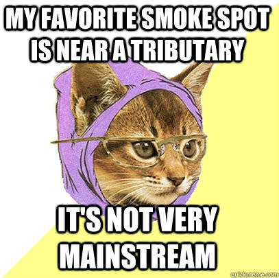 My favorite smoke spot is near a tributary It's not very mainstream  Hipster Kitty