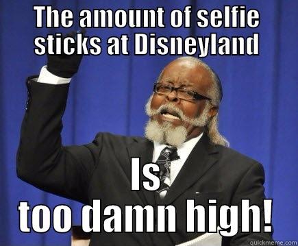 disneyland selfies - THE AMOUNT OF SELFIE STICKS AT DISNEYLAND IS TOO DAMN HIGH! Too Damn High