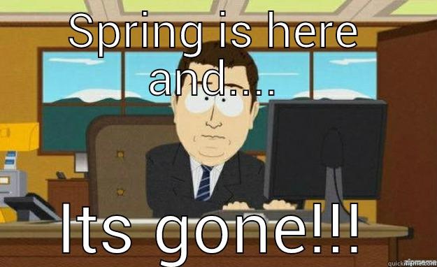 SPRING IS HERE AND.... ITS GONE!!! aaaand its gone