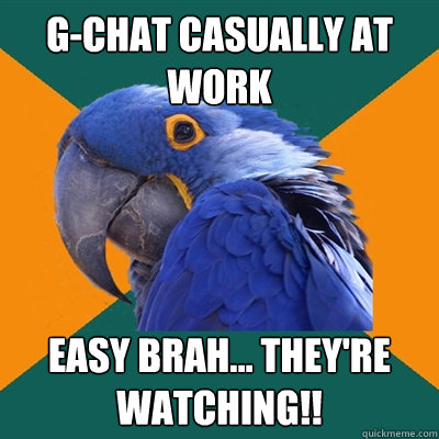 G-chat casually at work EASY BRAH... They're watching!!  Paranoid Parrot