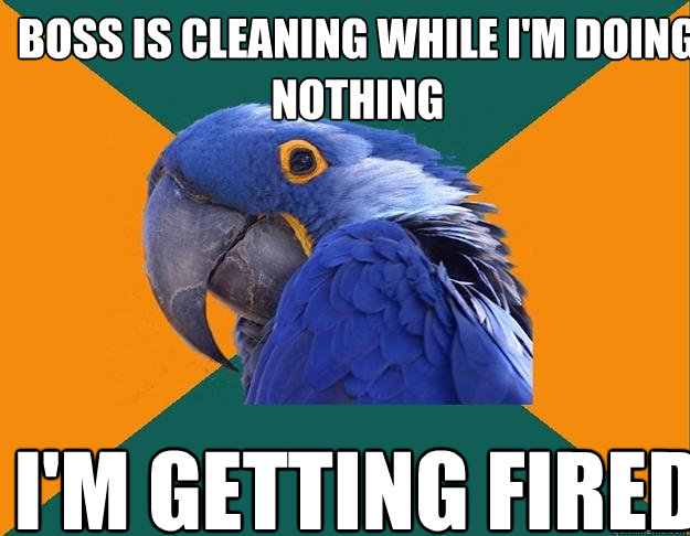 Boss is cleaning while i'm doing nothing i'm getting fired  Paranoid Parrot
