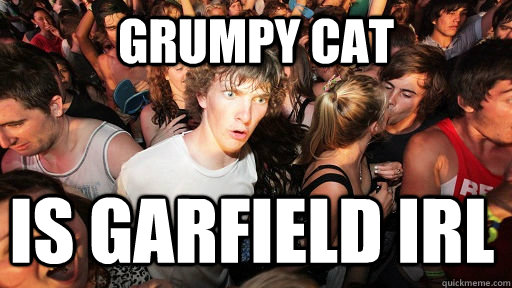 Grumpy cat is Garfield IRL  Sudden Clarity Clarence