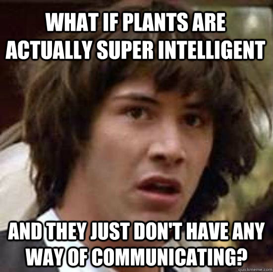 what if plants are actually super intelligent and they just don't have any way of communicating?  conspiracy keanu