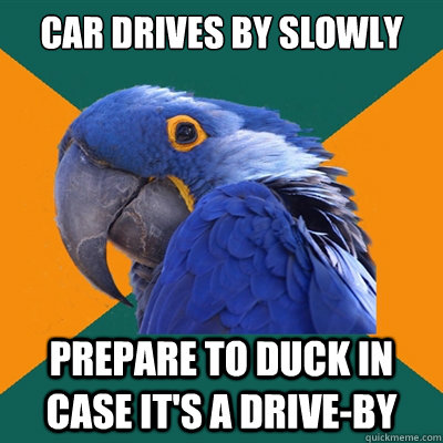 Car drives by slowly prepare to duck in case it's a drive-by  Paranoid Parrot