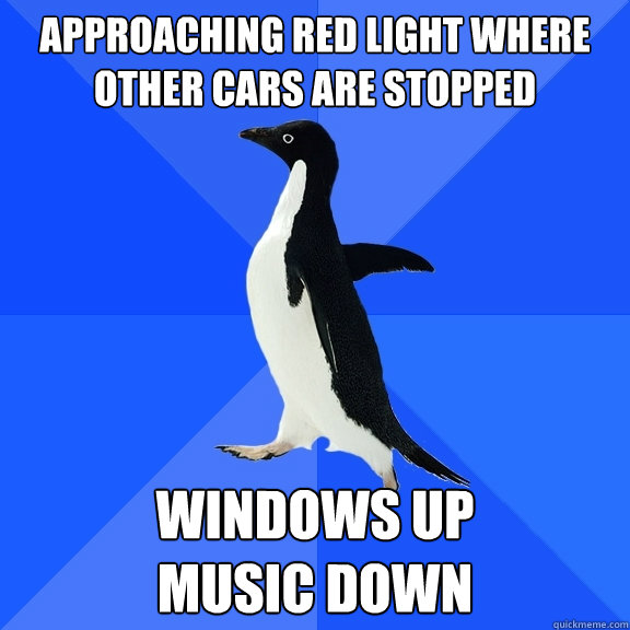 Approaching red light where Other cars are stopped Windows up                     music down  Socially Awkward Penguin