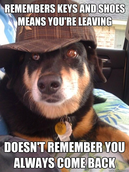 Remembers keys and shoes means you're leaving  Doesn't remember you always come back - Remembers keys and shoes means you're leaving  Doesn't remember you always come back  Scumbag dog