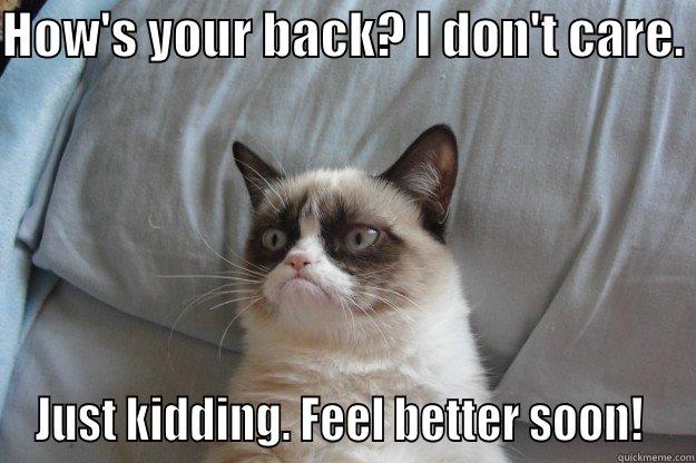 HOW'S YOUR BACK? I DON'T CARE.  JUST KIDDING. FEEL BETTER SOON!  Grumpy Cat