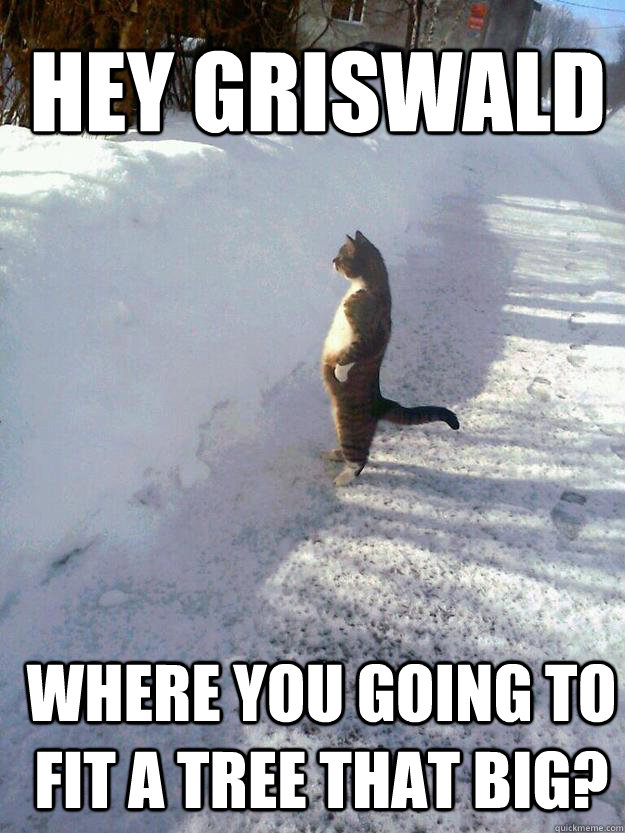 Hey griswald where you going to fit a tree that big?  CatSnowbank